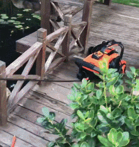 億力洗車機復雜環(huán)境使用